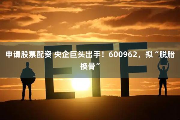 申请股票配资 央企巨头出手！600962，拟“脱胎换骨”