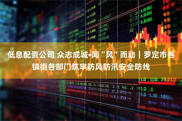 低息配资公司 众志成城•闻“风”而动｜罗定市各镇街各部门筑牢防风防汛安全防线