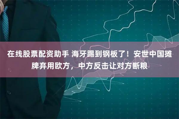 在线股票配资助手 海牙踢到钢板了！安世中国摊牌弃用欧方，中方反击让对方断粮